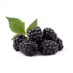 Blackberry Fruit